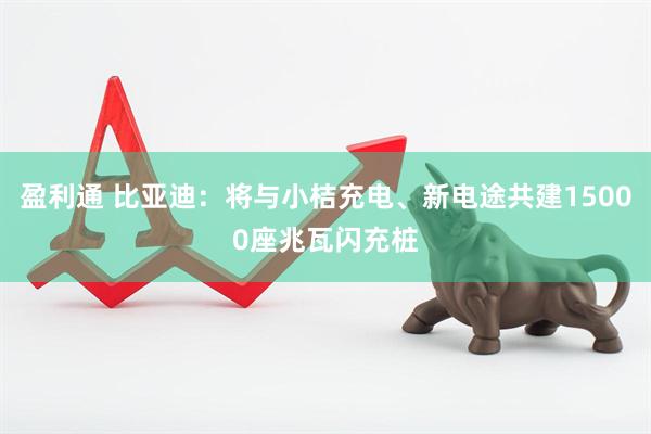 盈利通 比亚迪：将与小桔充电、新电途共建15000座兆瓦闪充桩