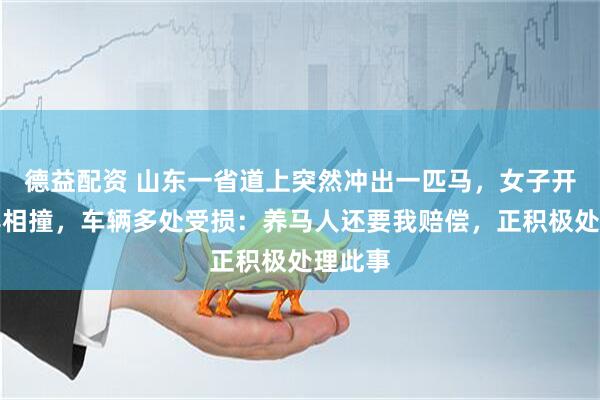 德益配资 山东一省道上突然冲出一匹马，女子开车与其相撞，车辆多处受损：养马人还要我赔偿，正积极处理此事