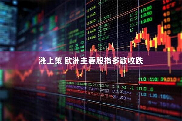 涨上策 欧洲主要股指多数收跌