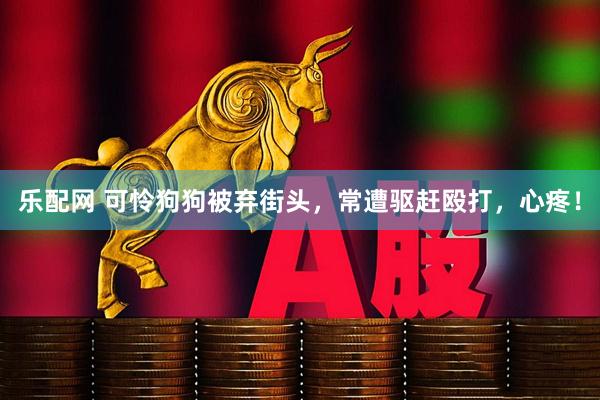 乐配网 可怜狗狗被弃街头，常遭驱赶殴打，心疼！