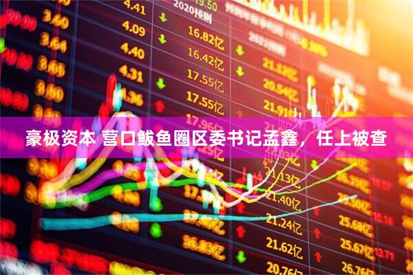 豪极资本 营口鲅鱼圈区委书记孟鑫，任上被查