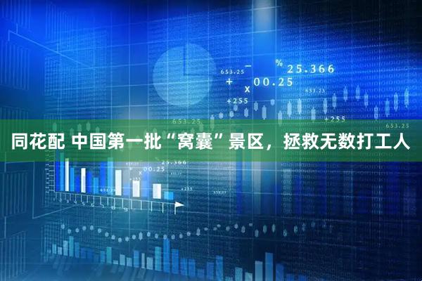 同花配 中国第一批“窝囊”景区，拯救无数打工人