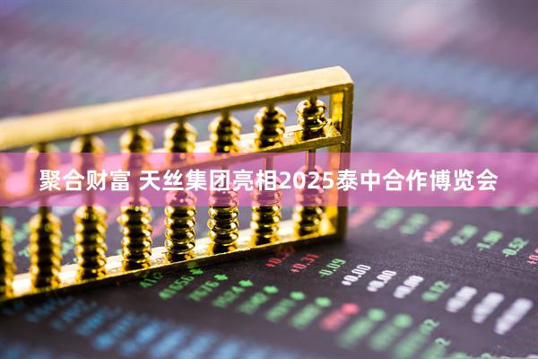 聚合财富 天丝集团亮相2025泰中合作博览会