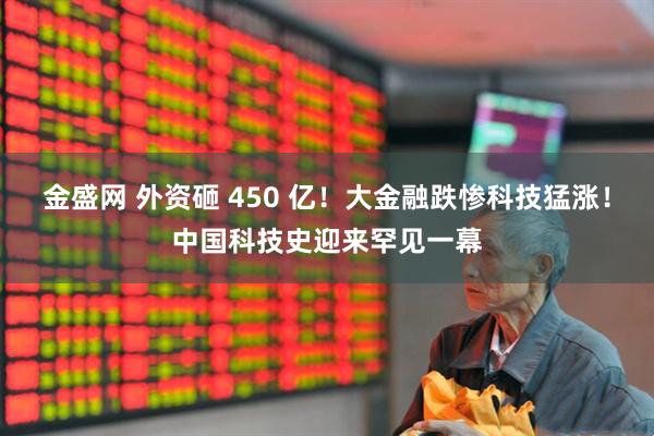 金盛网 外资砸 450 亿！大金融跌惨科技猛涨！中国科技史迎来罕见一幕