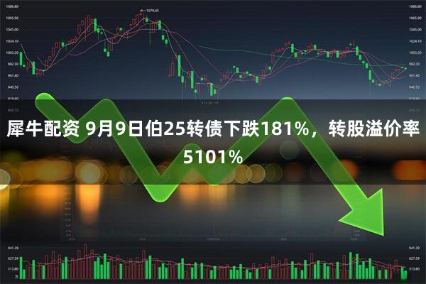 犀牛配资 9月9日伯25转债下跌181%，转股溢价率5101%